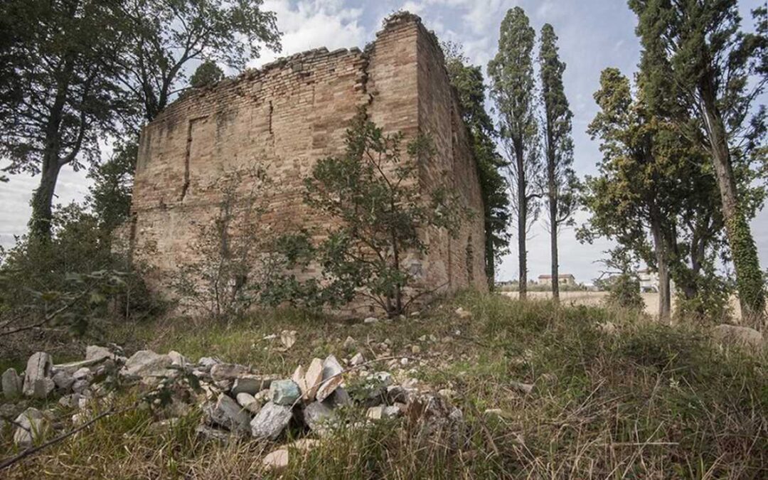 In mezzo al grano